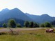 Staging Area for Queen Charlotte Islands