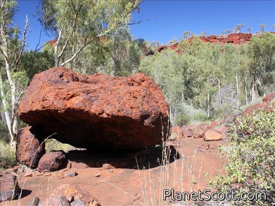 Karijini Rock