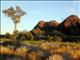 Cheela Plains Cliffs