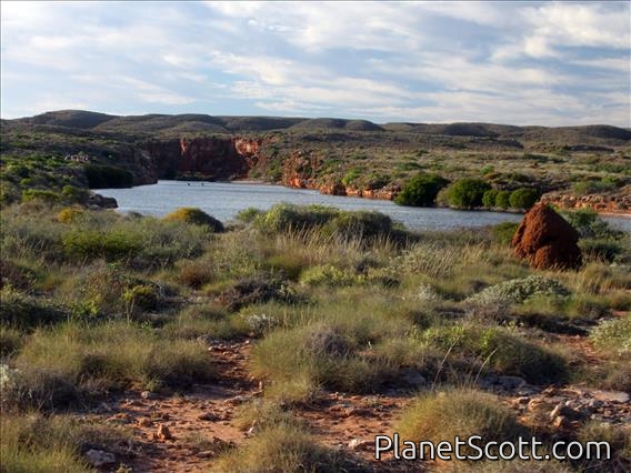 Yardie Creek Eclipse Spot