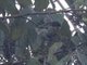 Image from 2023-07-28