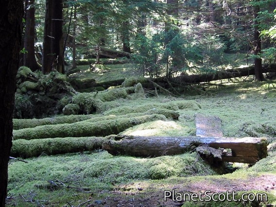 	Gwaii Haanas National Park