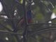 Image from 2023-07-29