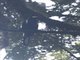 Image from 2023-07-31