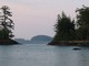 Minke Whale, Gwaii Haanas National Park