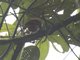 Image from 2023-07-31