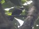 Image from 2023-07-31