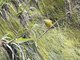 Image from 2023-08-03