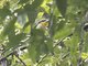 Image from 2023-08-04