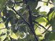 Image from 2023-08-04
