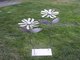 Flowers, Stainless steel, 32
