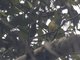 Image from 2023-08-05