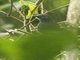 Image from 2023-08-05