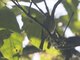 Image from 2023-08-05