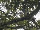 Image from 2023-08-05