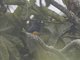 Image from 2023-08-05