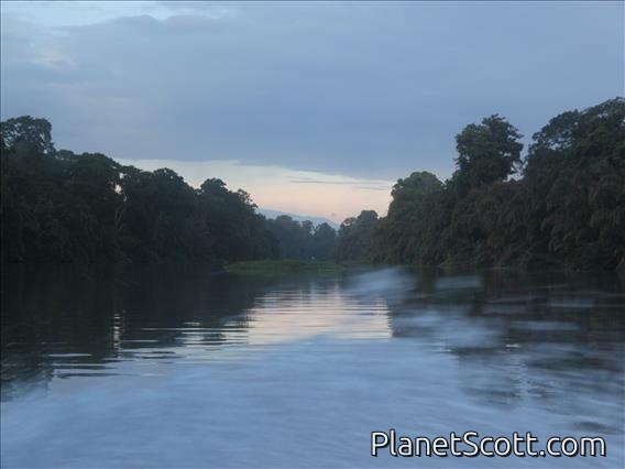 Tortuguero