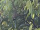 Image from 2023-10-01