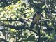Image from 2023-10-04