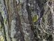 Image from 2023-10-04
