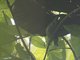 Image from 2023-10-05