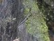 Image from 2023-10-05