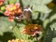 Image from 2023-10-06