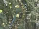 Image from 2023-10-06