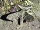 Image from 2023-10-06