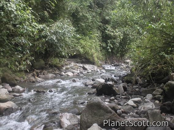 Arenal National Park