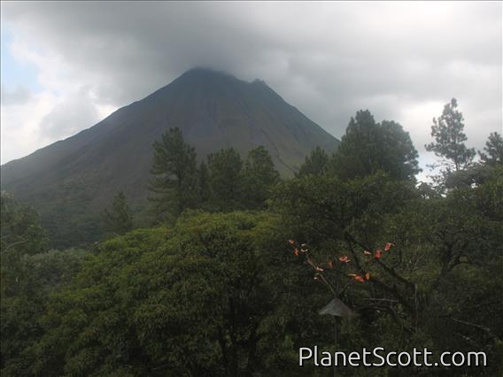 Arenal Volcano