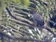 Image from 2024-02-05
