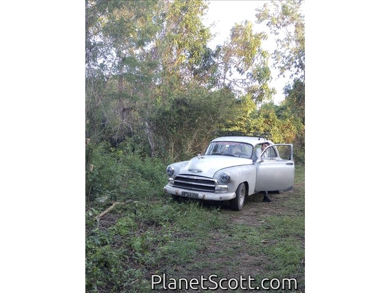 Driving in Zapata Swamp