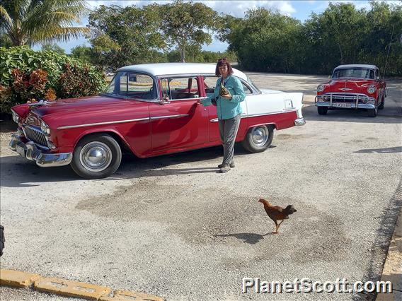 Barbara, 55 Chevy, and Chicken