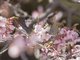 Image from 2024-02-16