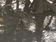 Image from 2024-02-21