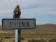 Black-chested Buzzard-eagle, Juvenile