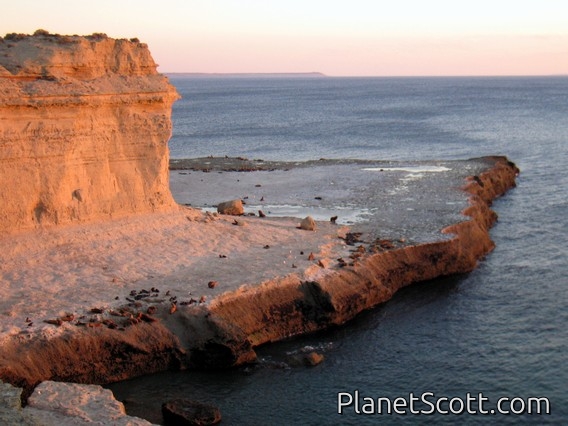 Punta Piramedes, Peninsula Valdez