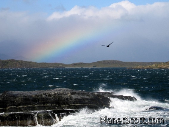 Beagle Channel, Tierra Del Fuego