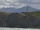 Brown-chinned Albatross, Beagle Channel