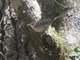 Image from 2024-04-04