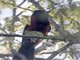 Image from 2024-04-05