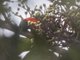 Image from 2024-07-27