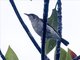 Image from 2024-08-08