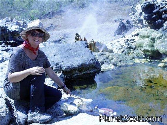 Hot Springs Casava Cookoff