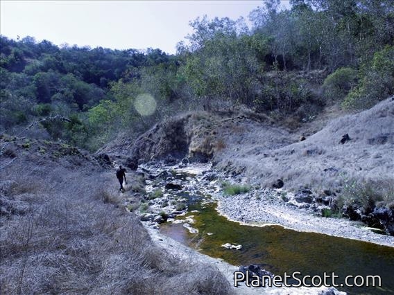 Alor Hot Springs