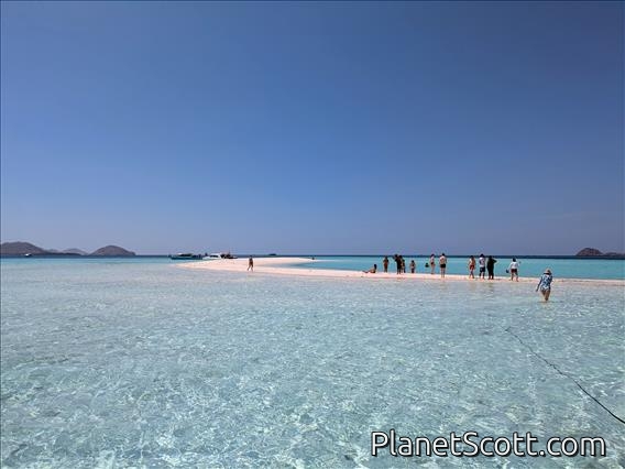 Komodo Islands Sandbar