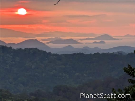 Komodo Sunset