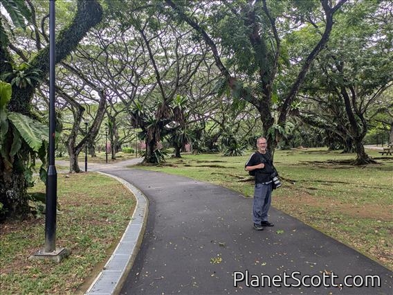 Pasir Ris Park