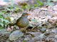Image from 2025-02-04